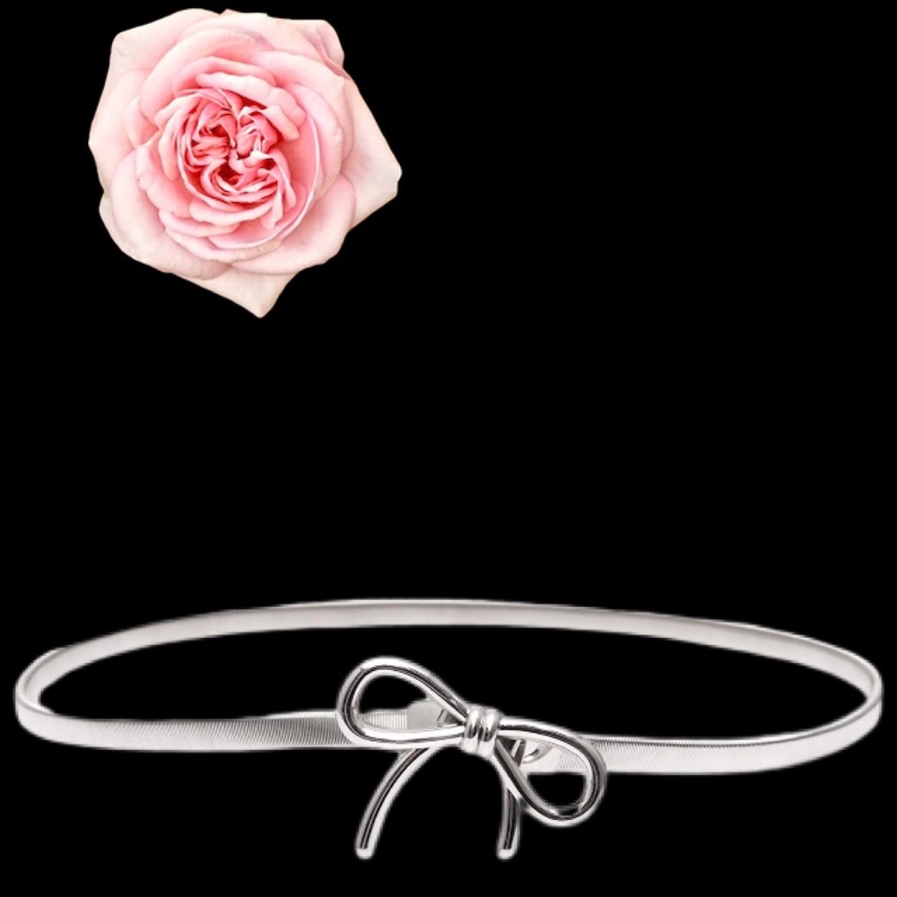 BrAND NEW SUPER CUTE TIE BELT GOLD - Picture 2 of 6